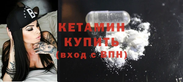 гидра Елизово