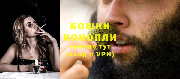 дурь Елабуга