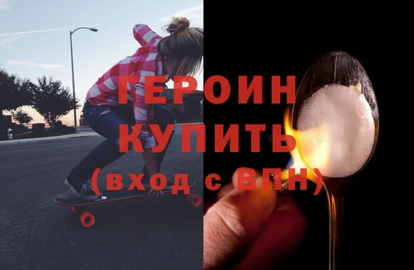 гидра Елизово