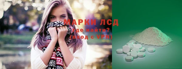 гидра Елизово