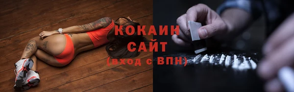 гидра Елизово