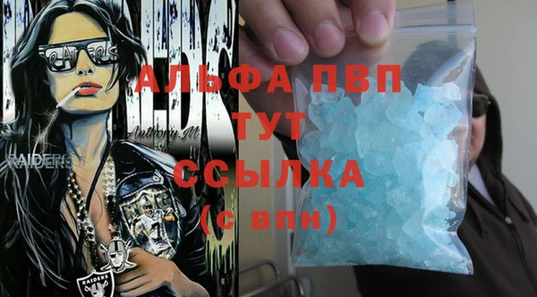 гидра Елизово