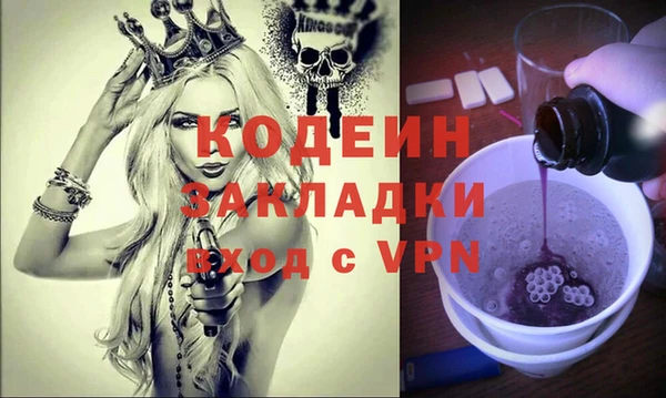 гидра Елизово