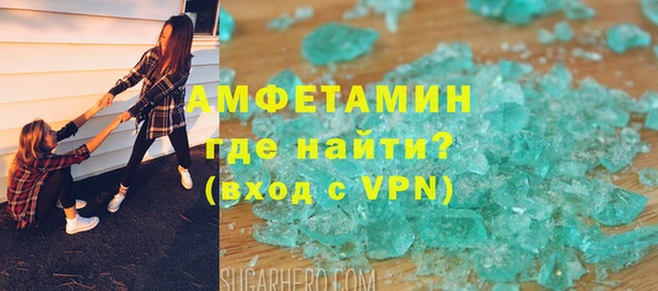 гидра Елизово