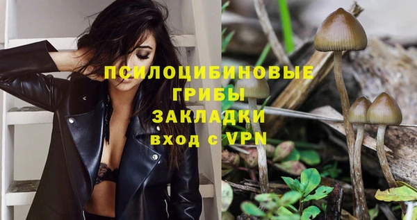 гидра Елизово