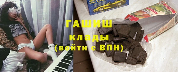 гидра Елизово
