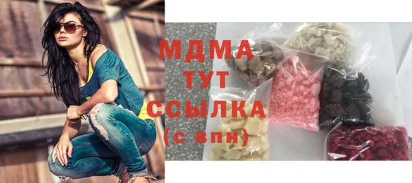 гидра Елизово