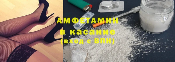 гидра Елизово